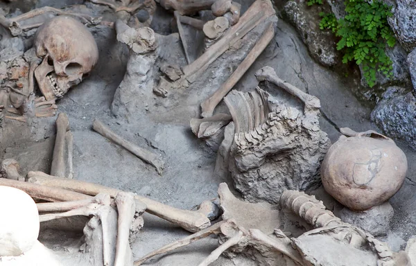 Fatalități Timpul Erupției Muntelui Vezuviu Orașul Antic Herculaneum Ercolano Italia — Fotografie, imagine de stoc