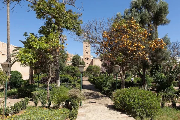 Andalusiska Trädgårdar Rabat Marocko Datum För Fotografering Juni 2013 — Stockfoto