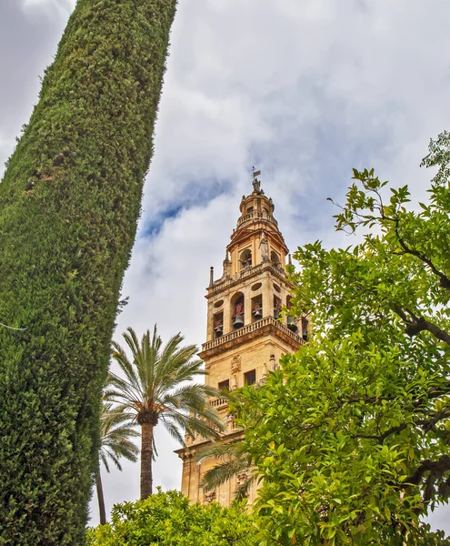 Bell Tower Mesquita Cordova Spain Date Shooting May 2013 — Stock Photo, Image