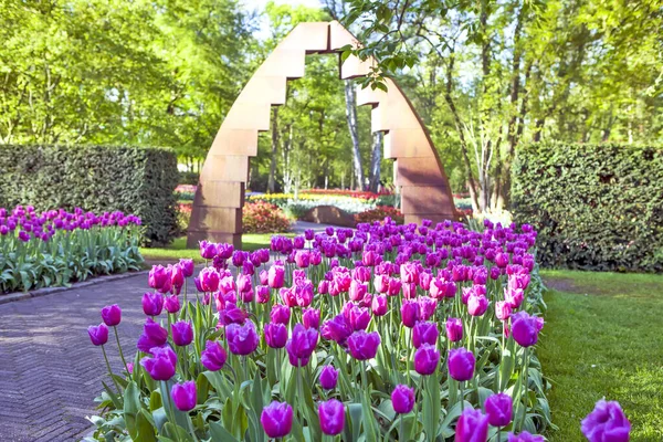 beautiful  Flower alley with an arch. Royal Keukenhof Flower Park in garden in Lisse, Netherlands