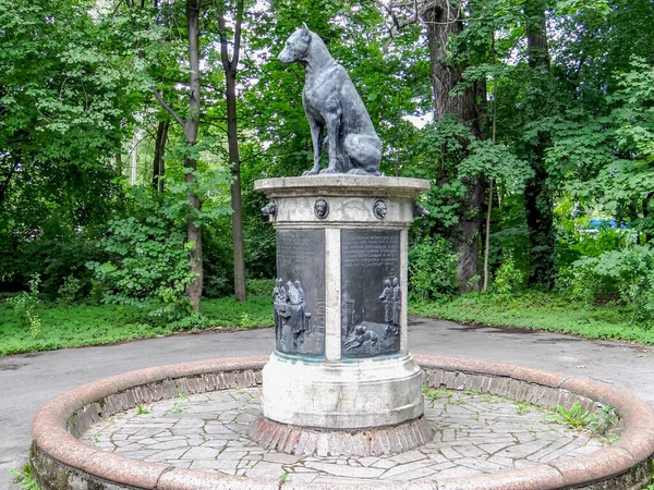 Μνημείο Για Σκύλο Του Πάβλοφ Στο Έδαφος Του Ινστιτούτου Ανθρώπινου — Φωτογραφία Αρχείου