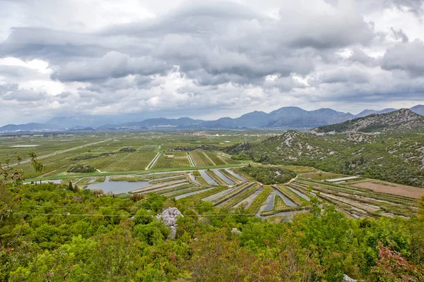 Vista Giardini Agricoli Irrigati Campi Nel Delta Del Fiume Neretva — Foto Stock