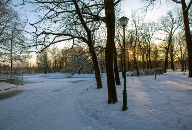 Kar ve ağaçlarla kaplı kış manzarası