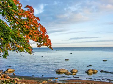 Renkli ağaçlar ve deniz ile güzel sonbahar manzarası