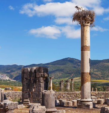 Antik yapıların kalıntıları. Volubilis. Fas