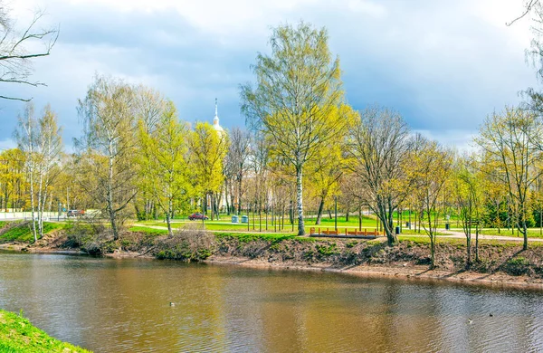 Vår Flod Med Gröna Träd Vatten Och Damm Solig Dag — Stockfoto