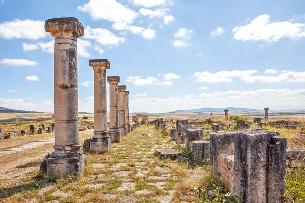 Ruínas Das Estruturas Antigas Volubilis Marrocos — Fotografia de Stock