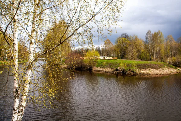 Herfstpark Met Rivier Boslandschap — Stockfoto