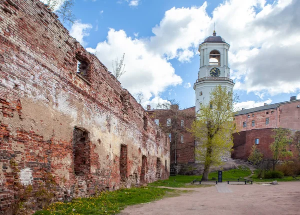 Torre Dell Orologio Mura Della Vecchia Cattedrale Vyborg Regione Leningrado — Foto Stock