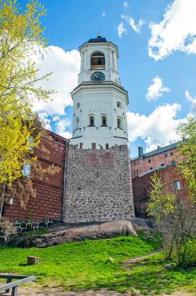 Годинникова Вежа Стіни Старого Собору Виборг Ленінградська Область Росія — стокове фото