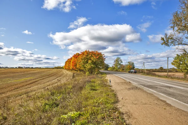 Alberi Autunno Con Campo Agricolo Strada Alla Luce Del Sole — Foto Stock