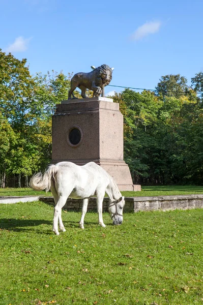 Reino Rusia Septiembre 2019 Foto Monumento Bistrom Por Escultor Klodt — Foto de Stock