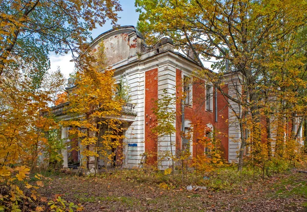 Старий Покинутий Дерев Яний Будинок Парку — стокове фото