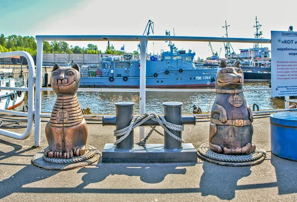 Kronstadt Rusland Juli 2019 Foto Van Beeldhouwkunst Kat Hond Scheepsvrienden — Stockfoto