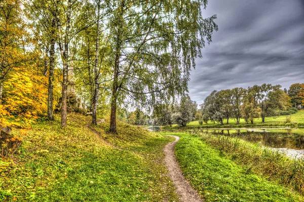 Percorso Con Verde Stagno Nel Parco Aleksandrovskiy San Pietroburgo Russia — Foto Stock