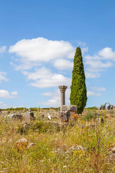 古代の建造物の遺跡 ボリュビリス モロッコ — ストック写真