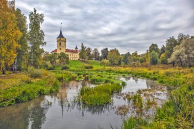 Bip Kalesi 'nin bataklık üzerindeki yeşillik manzarası, Pavlovsk, Rusya