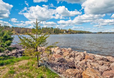 Nehir ve ormanlı güzel bir manzara.