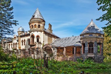 BELOGORKA, RUSSIA - EYLÜL 08, 2019: A. G. Eliseev 'in mülkiyet fotoğrafı.