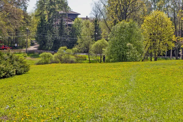 Hermoso Jardín Primavera Parque — Foto de Stock