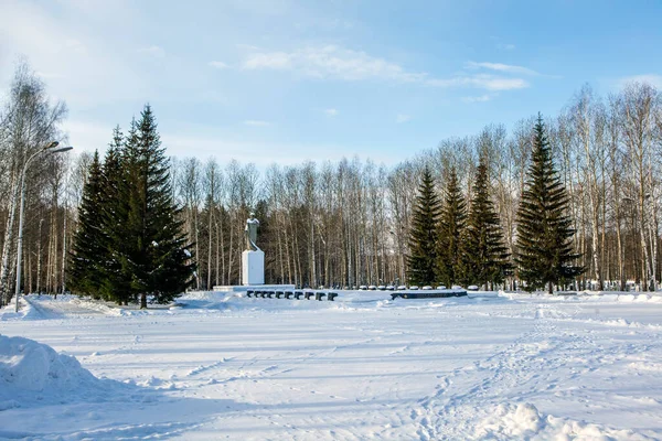 Nizhny Tagil Russland Februar 2020 Foto Des Kriegsruhm Denkmals Der — Stockfoto