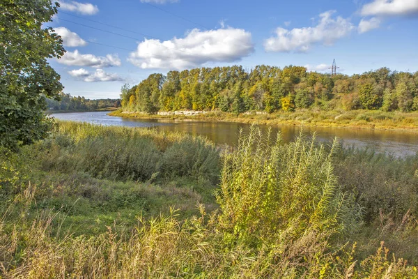 Rio Luga Parque Romanovka Kingisepp Região Leningrado Rússia — Fotografia de Stock