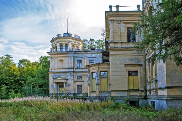 格子和石灰是米哈伊尔 尼古拉耶维奇大公宫殿的装饰元素 — 图库照片