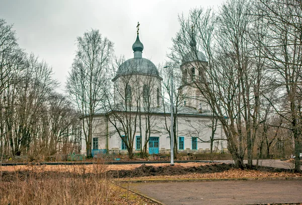 Église Assomption Village Korostyn Quartier Shimsky Région Novgorod Russie — Photo