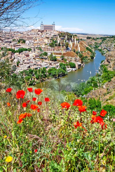 Poppy Flowers Overlooking Historic City Center Tagus River Toledo Spain — Stock Photo, Image