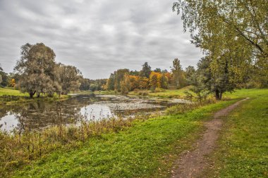Ağaçlar ve nehirlerle sonbahar manzarası, doğa.