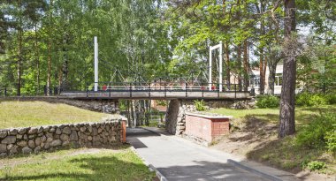 SOSNOVY BOR, RUSSIA - 10 Temmuz 2019: 