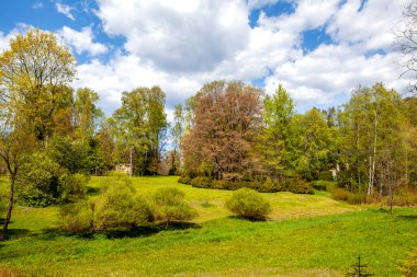 Yazın doğanın güzel manzarası