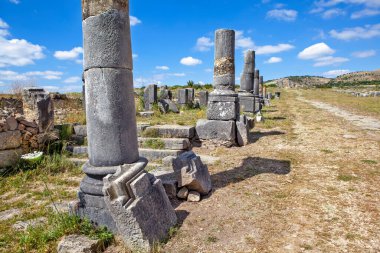 Antik yapıların kalıntıları. Volubilis. Fas