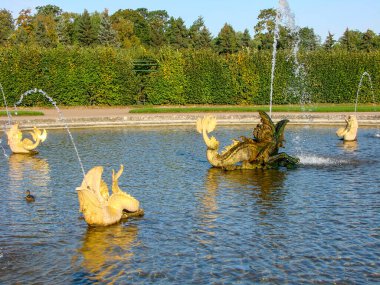 PETERHOF, RUSSIA - 19 Eylül 2011: Mezheumny Çeşmesinin Fotoğrafı. Parça. Üst Üst Üst .