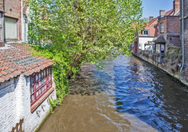 Bir kanalı olan tarihi şehir merkezi. Brugge. Belçika