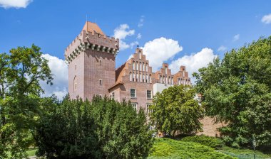 Kraliyet Kalesi (Przemysl Kalesi II). Poznan. Polonya