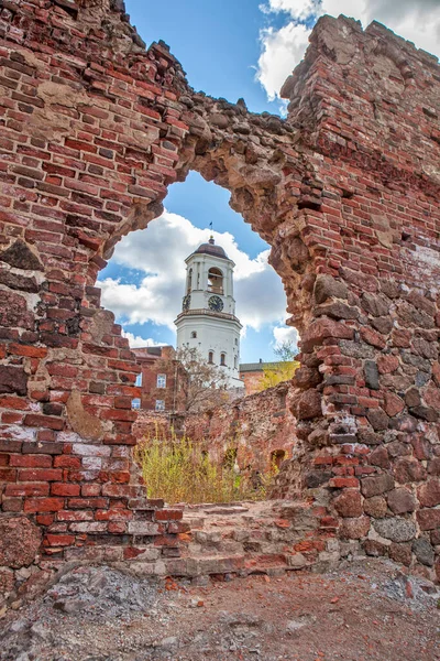 대성당의 Vyborg 레닌그라드 러시아 — 스톡 사진