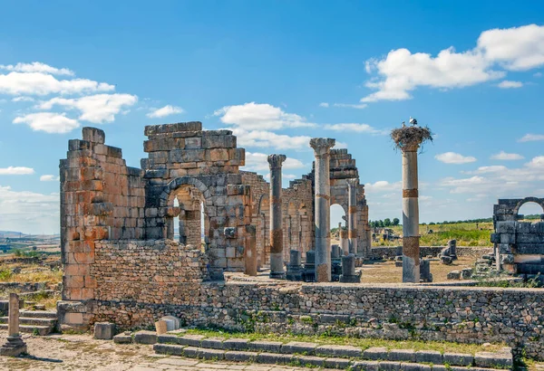 Ruínas Das Estruturas Antigas Volubilis Marrocos — Fotografia de Stock