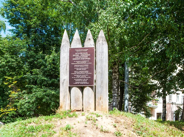 Nizhny Novgorod Russia Luglio 2019 Foto Dei Resti Dell Albero — Foto Stock