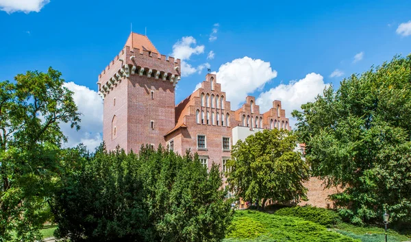 皇家城堡 Przemysl Castle 波兹南波兰 — 图库照片