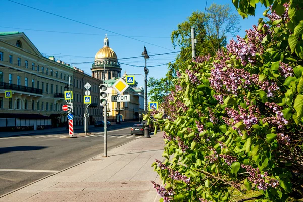 Petersburg Rusia Mayo 2020 Foto Blooming Lila Fondo Del Almirantazgo — Foto de Stock