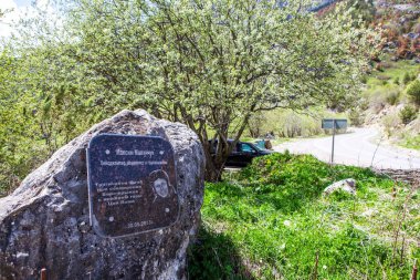 Ölen sporcu Maksim Malanchuk 'un anısına verilen plaket. Ingushetia Cumhuriyeti, Rusya. 15 Mayıs 2021