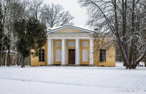 Padiglione Concert Hall Pushkin San Pietroburgo Russia Gennaio 2021 — Foto Stock