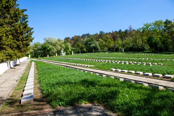 Military Memorial Cemetery Pyatigorsk Stavropol Region Russia May 2021 — Stock Photo, Image