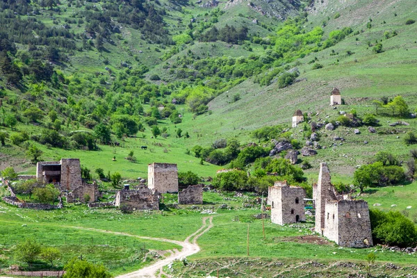 Egikhal Kulesi Kompleksi Dzheyrakh Bölgesi Ingushetia Cumhuriyeti Rusya Mayıs 2021 — Stok fotoğraf