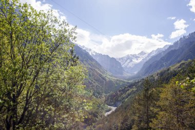 Teberda rezervi. Kuzey Osetya. - Rusya. 16 Mayıs 2021