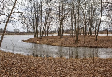 Aşk adası. Oryol Parkı. Strelna. St. Petersburg 'da. - Rusya. 10 Nisan 2021