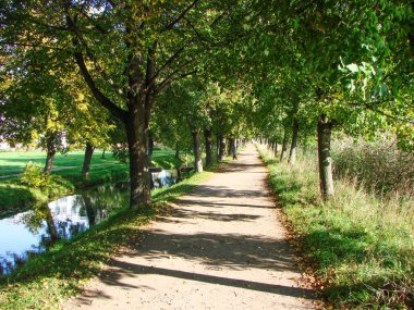 Samsonievsky su kanalı boyunca. Peterhof. St. Petersburg 'da. - Rusya. 19 Eylül 2011