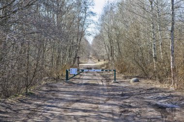 Sestroretskoye Bataklığı 'na giriş. Beloostrov. Tatil yeri. St. Petersburg 'da. - Rusya. 16 Nisan 2021
