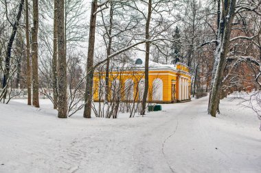 Akşam salonu. Yukarıdan bak. Puşkin. St. Petersburg 'da. - Rusya. 21 Ocak 2021